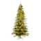 9ft. Pre-Lit Kamas Fraser Fir Artificial Christmas Tree, Warm White Low Voltage LED Lights